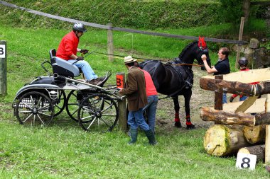atları turnuva sürüş