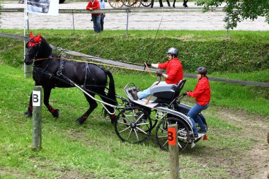 atları turnuva sürüş