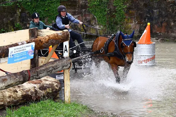 atları turnuva sürüş