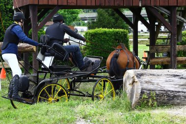 atları turnuva sürüş