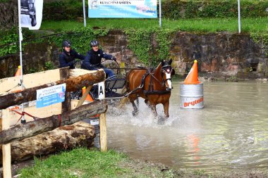atları turnuva sürüş