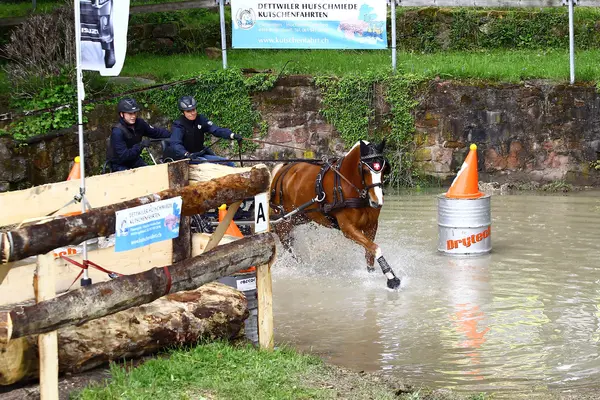 Guida di cavalli torneo — Foto Stock