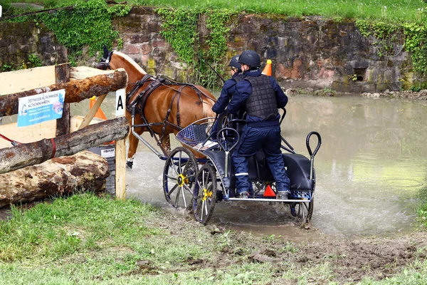 Atları turnuva sürüş — Stok fotoğraf