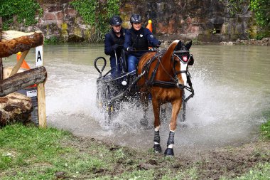 atları turnuva sürüş
