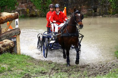 atları turnuva sürüş
