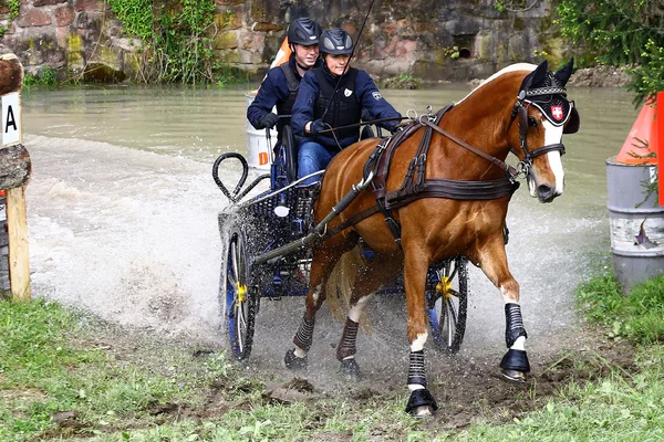 Guida di cavalli torneo — Foto Stock