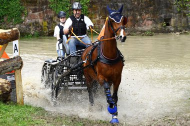 atları turnuva sürüş