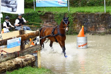 atları turnuva sürüş