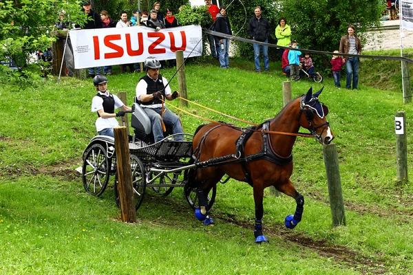 Driving horses tournament — Stock Photo, Image