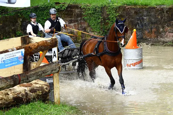 Atları turnuva sürüş — Stok fotoğraf