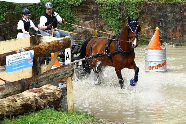 Guida di cavalli torneo — Foto Stock