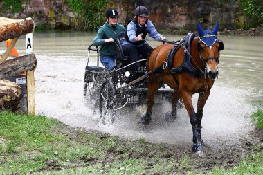 atları turnuva sürüş