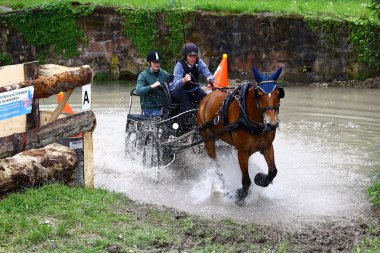 atları turnuva sürüş