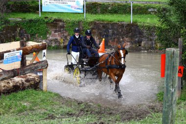 atları turnuva sürüş