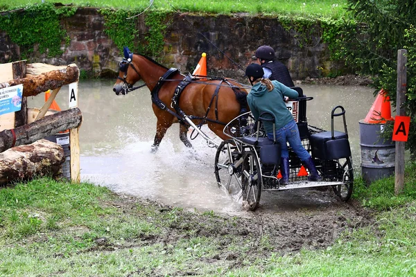 Guida di cavalli torneo — Foto Stock