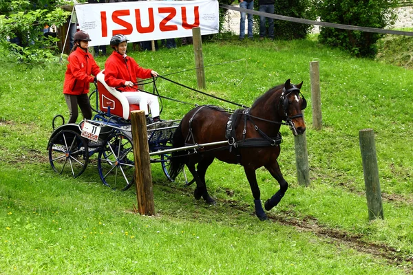 Jazda konie turnieju — Zdjęcie stockowe