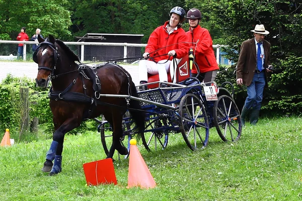 Jazda konie turnieju — Zdjęcie stockowe