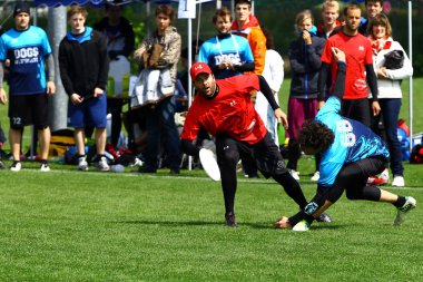 Frizbi 2013