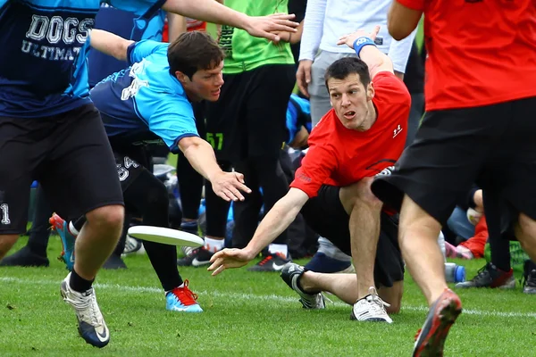 Ultimate Frisbee 2013 — Stockfoto