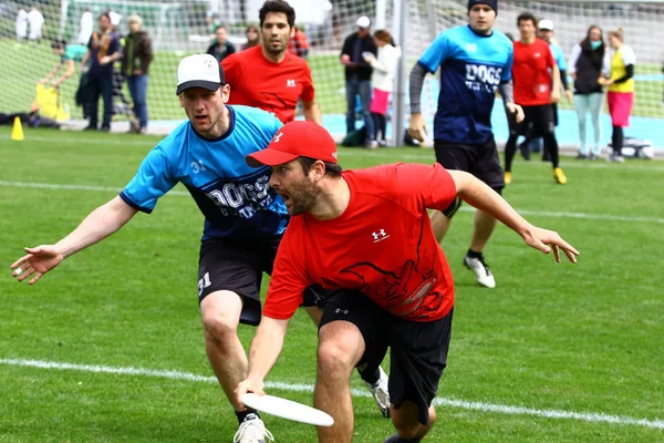 Ultimate Frisbee 2013 — Stockfoto