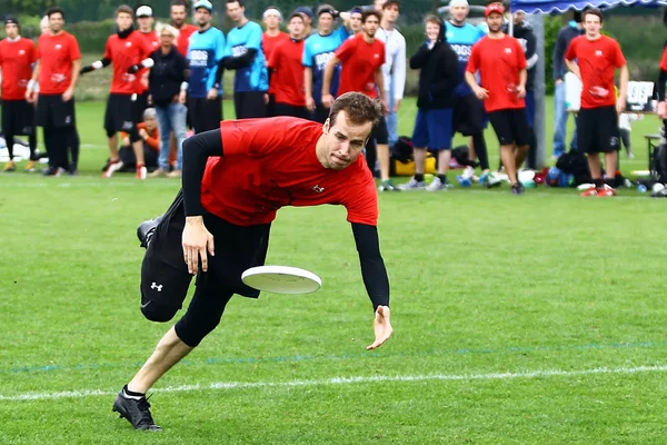 Ultimative Frisbee 2013 — Stockfoto