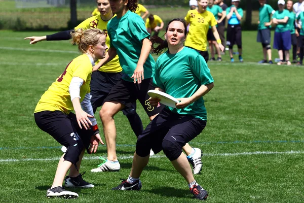 Ultime frisbee 2013 — Photo