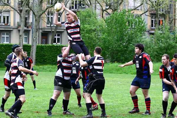 Rugby match — Stock Photo, Image