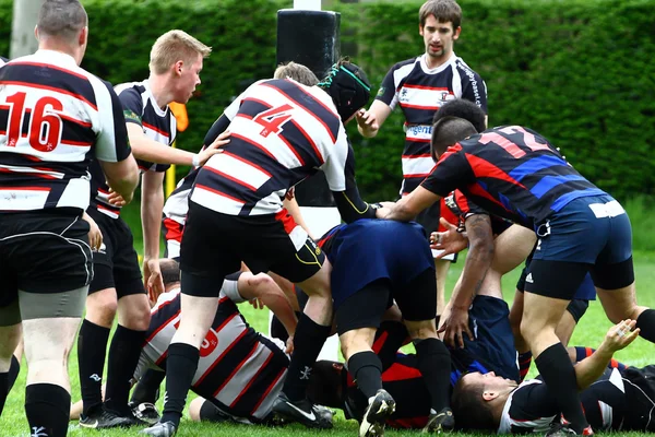Partido de rugby — Foto de Stock