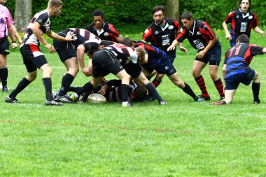 meczu rugbyRagbi maçı
