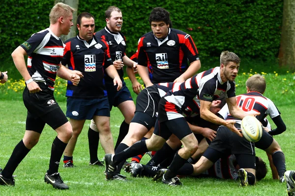 Meczu rugbyRagbi maçı — Stok fotoğraf