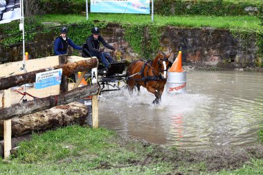 atları turnuva sürüş