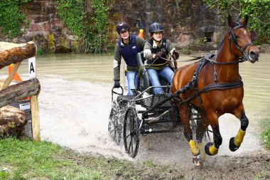 atları turnuva sürüş