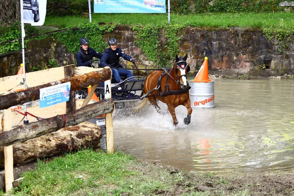 Guida di cavalli torneo — Foto Stock