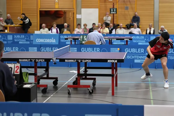 Table Tennis — Stock Photo, Image