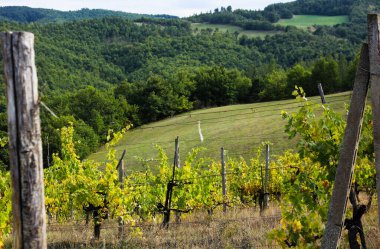 Sonbahar, bereketli tabiatı olan Toskana manzarası. 