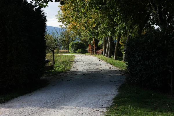 Sinuoso Camino Sobre Telón Fondo Del Paisaje Toscano —  Fotos de Stock