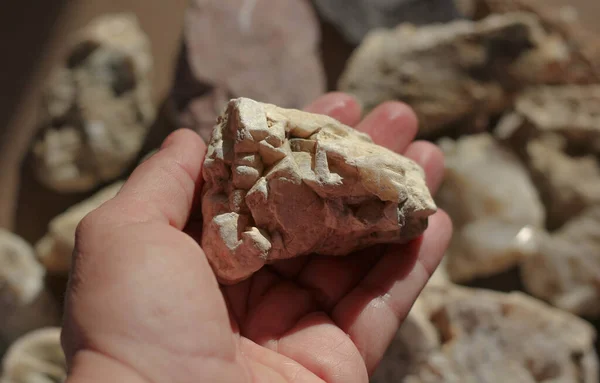 Taş Mineral Diğer Taşların Arka Planında Bir Kadının Elinde Yatıyor — Stok fotoğraf