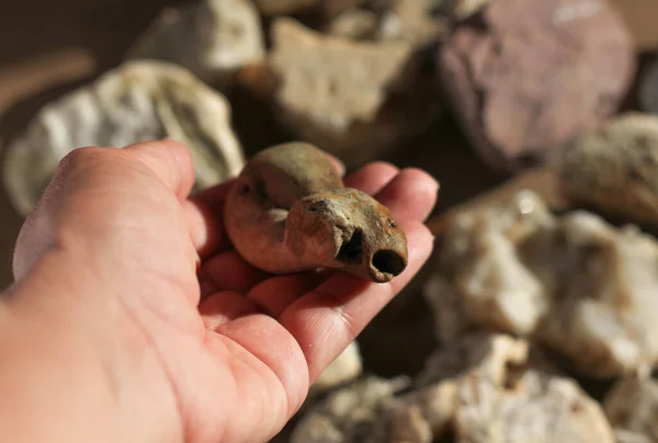 Mineralstein Der Einer Weiblichen Hand Auf Einem Unscharfen Hellen Hintergrund — Stockfoto