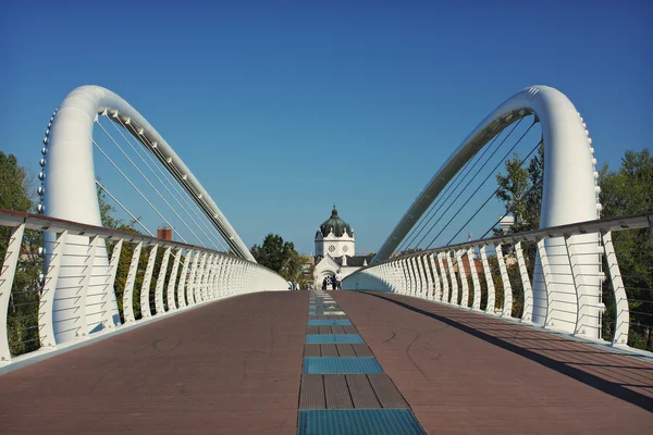 Kładka nad rzeką tisza Obrazek Stockowy