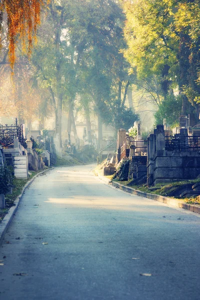 Graveyard path — Stock Photo, Image