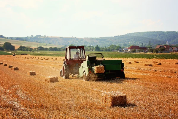 A terepen dolgozó traktor — Stock Fotó