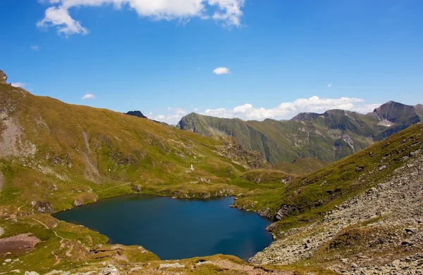Capra lake i Făgăraş bergen — Stockfoto
