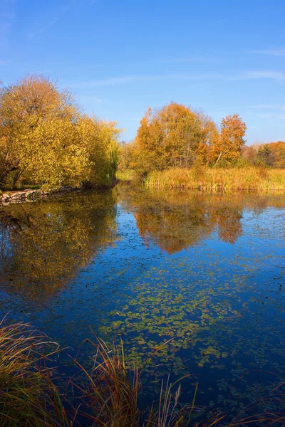 Beautiful Sas lake in Hungary in autumn dress — Stock Photo, Image