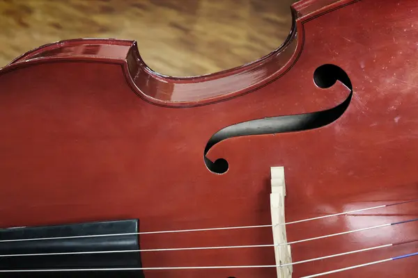 Viola close up — Stock Photo, Image