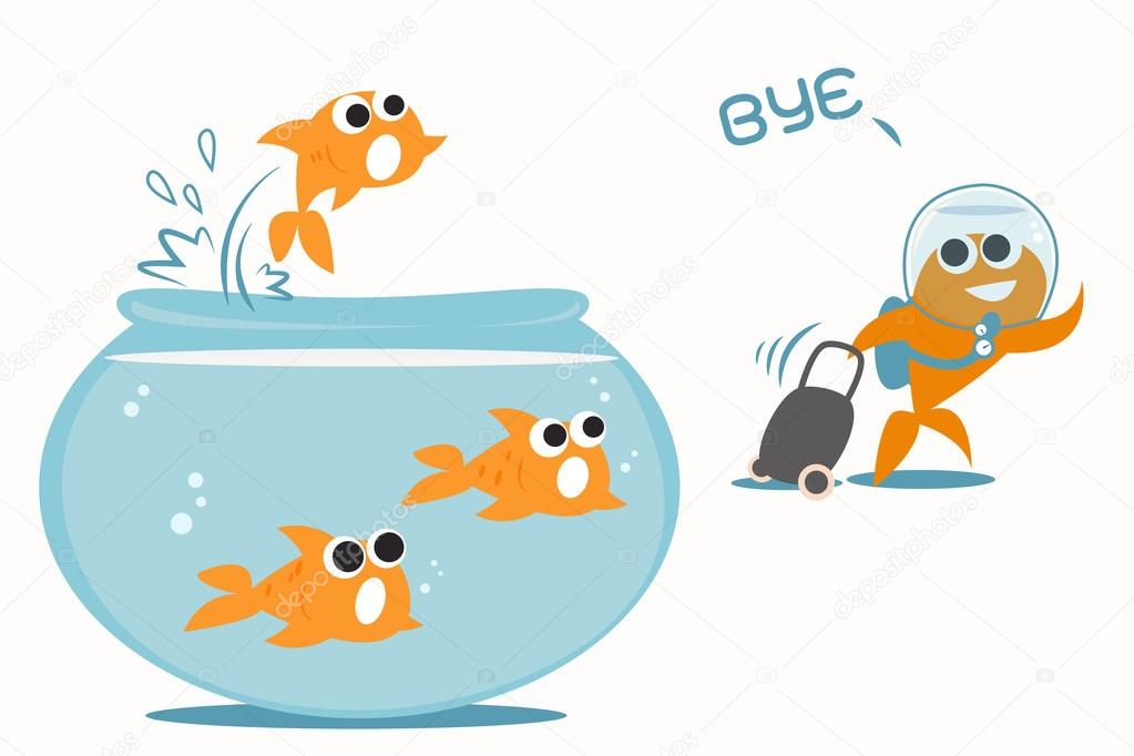 Goldfish leaving tank
