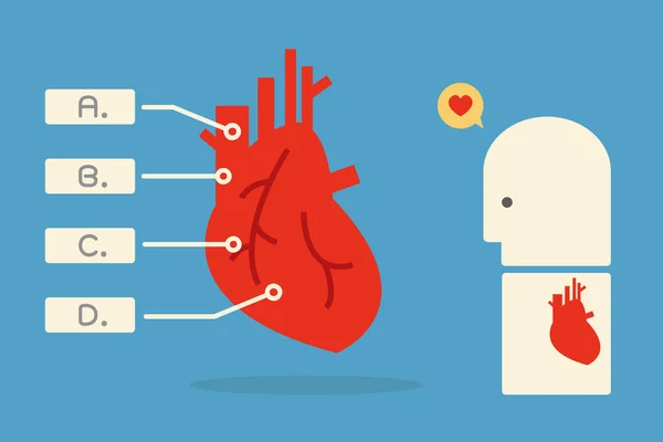 Heart infographics — Stock Vector