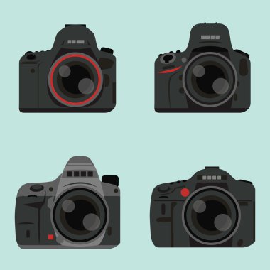 DSLR Dijital Kamera