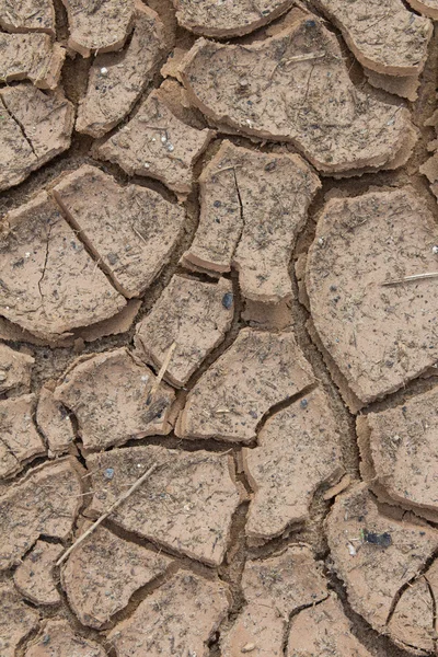 Scheuren in droge grond. — Stockfoto