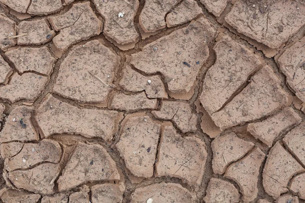 Risse im trockenen Boden. — Stockfoto