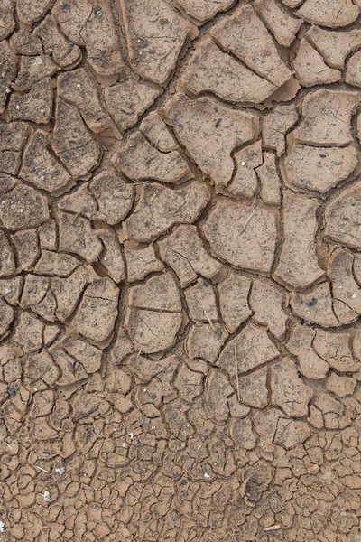 干土壤中的裂缝. 免版税图库图片